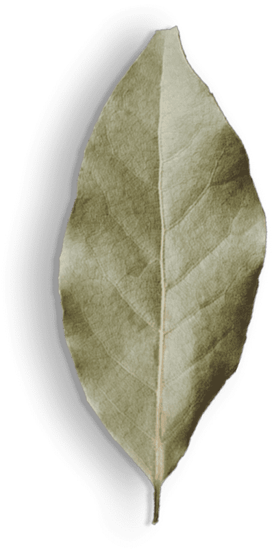 spice-shop-40